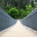 Increase connection by building a bridge